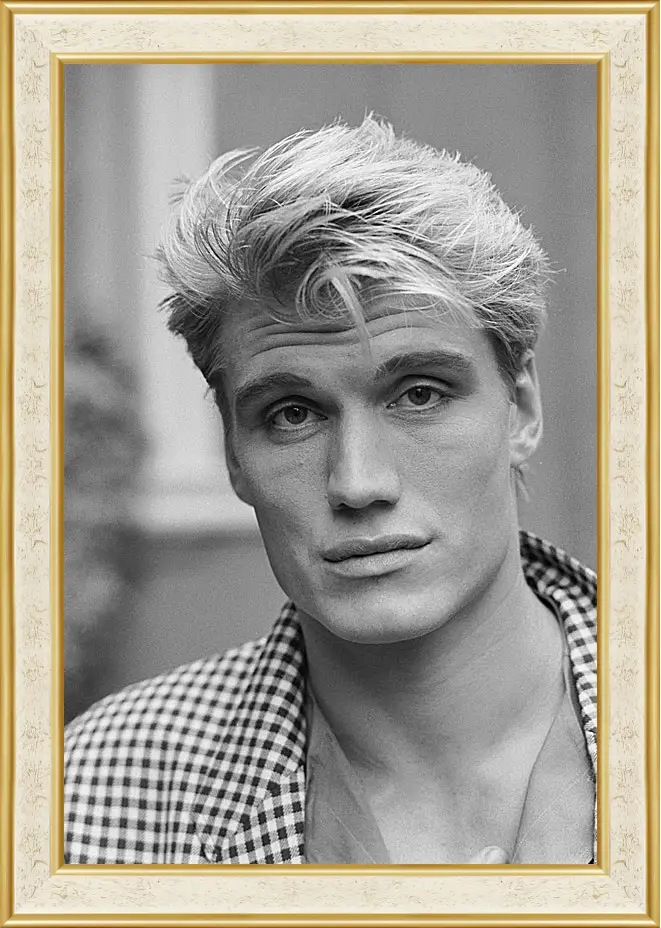 Картина в раме - Дольф Лундгрен. Dolph Lundgren