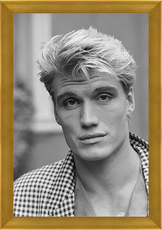 Картина в раме - Дольф Лундгрен. Dolph Lundgren