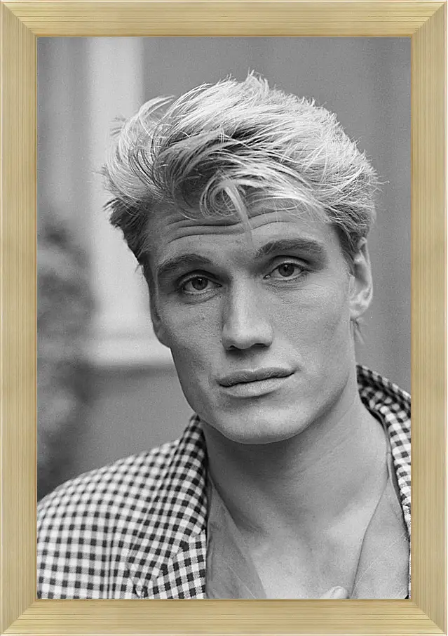 Картина в раме - Дольф Лундгрен. Dolph Lundgren