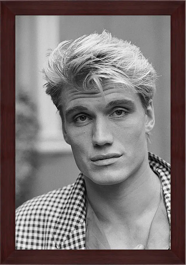 Картина в раме - Дольф Лундгрен. Dolph Lundgren