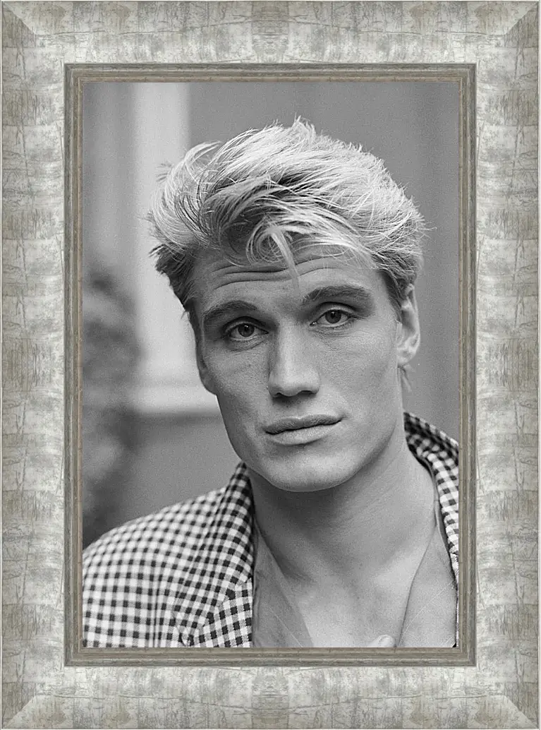 Картина в раме - Дольф Лундгрен. Dolph Lundgren