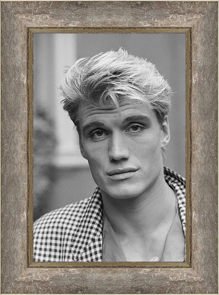 Картина в раме - Дольф Лундгрен. Dolph Lundgren
