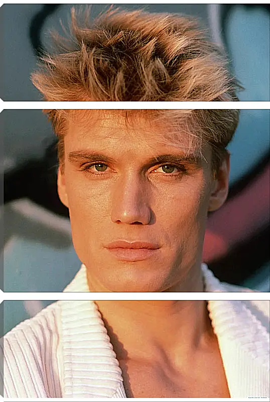 Модульная картина - Дольф Лундгрен. Dolph Lundgren