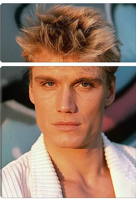 Модульная картина - Дольф Лундгрен. Dolph Lundgren