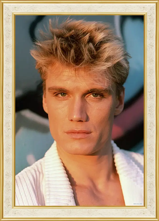 Картина в раме - Дольф Лундгрен. Dolph Lundgren