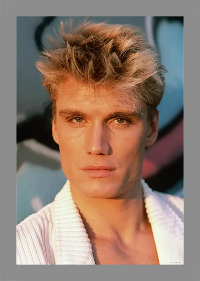 Картина в раме - Дольф Лундгрен. Dolph Lundgren