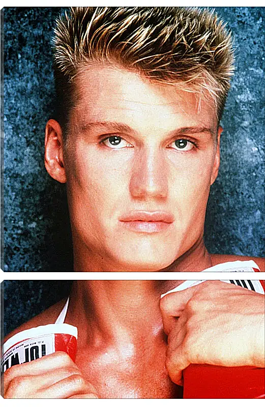 Модульная картина - Дольф Лундгрен. Dolph Lundgren