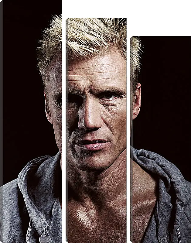 Модульная картина - Дольф Лундгрен. Dolph Lundgren