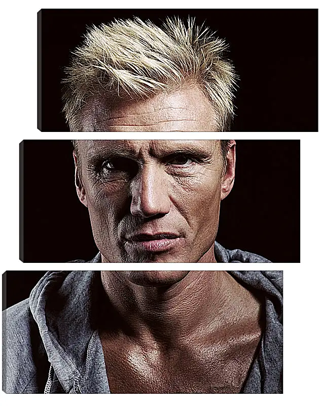 Модульная картина - Дольф Лундгрен. Dolph Lundgren