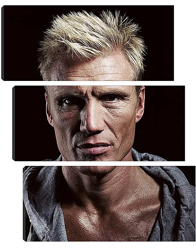 Модульная картина - Дольф Лундгрен. Dolph Lundgren