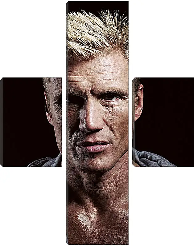 Модульная картина - Дольф Лундгрен. Dolph Lundgren