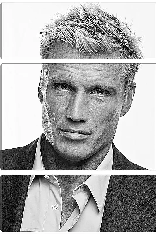 Модульная картина - Дольф Лундгрен. Dolph Lundgren