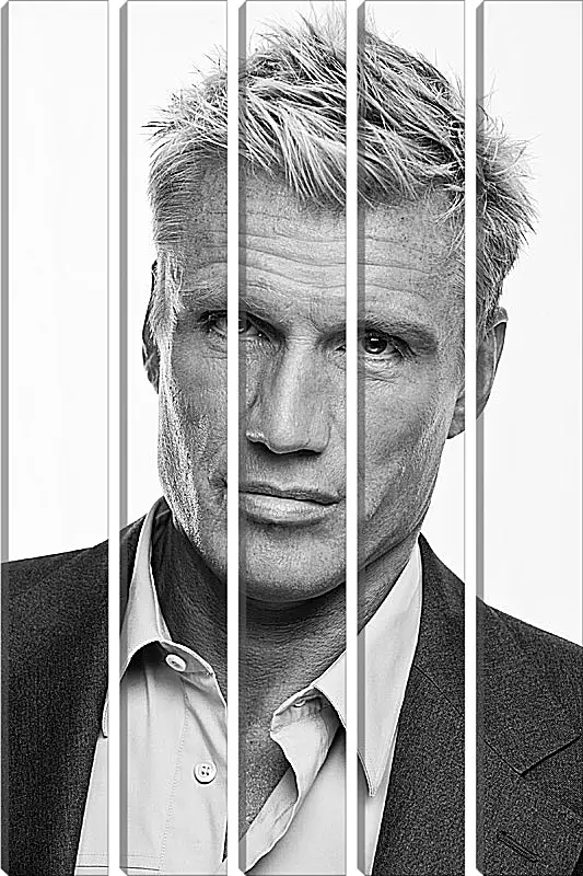 Модульная картина - Дольф Лундгрен. Dolph Lundgren