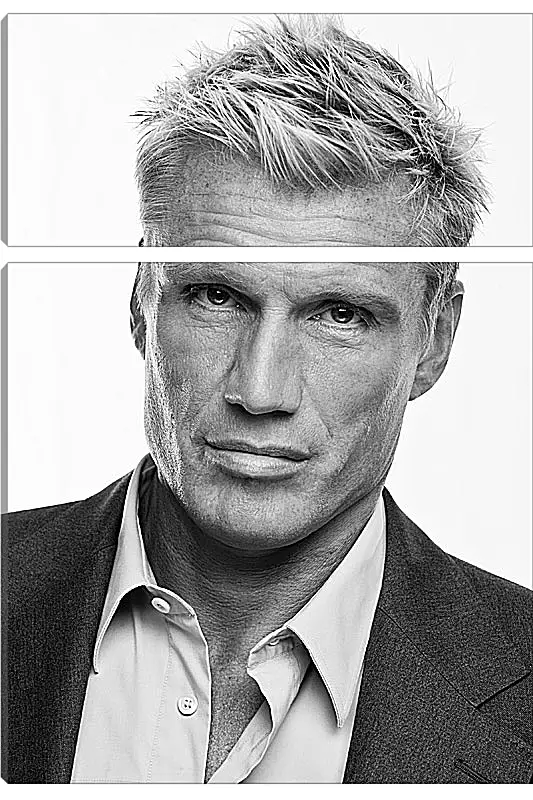 Модульная картина - Дольф Лундгрен. Dolph Lundgren