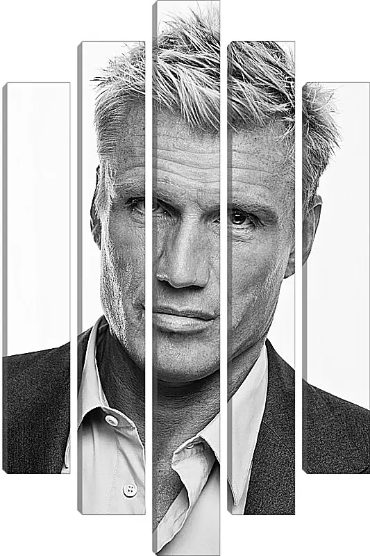 Модульная картина - Дольф Лундгрен. Dolph Lundgren