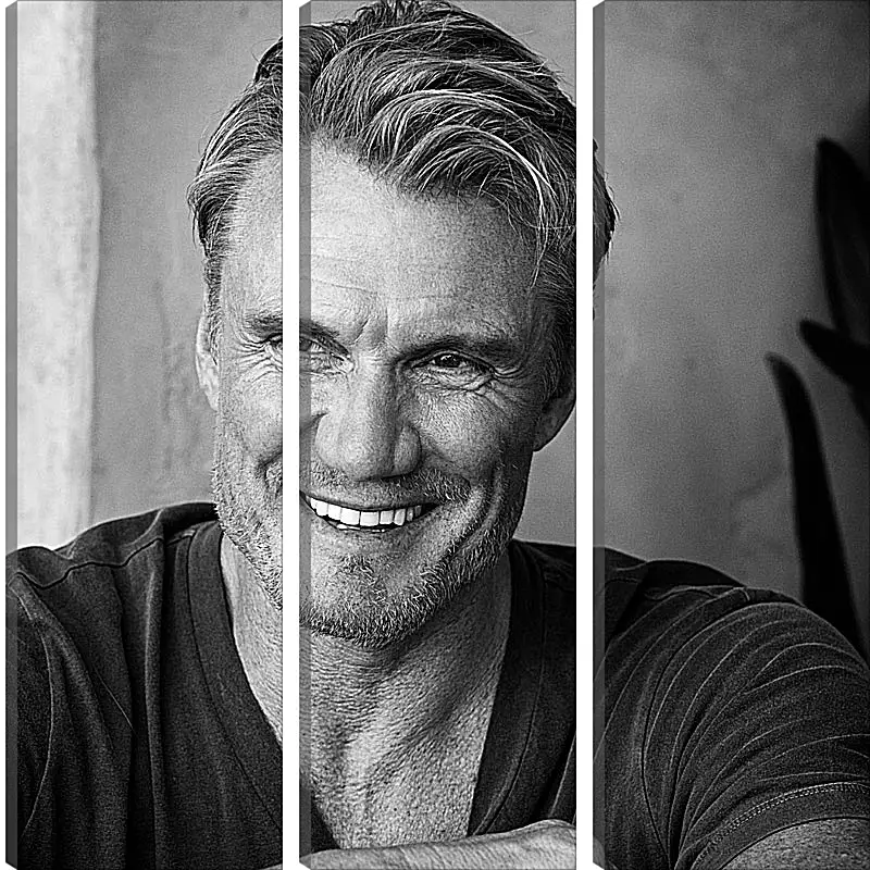 Модульная картина - Дольф Лундгрен. Dolph Lundgren