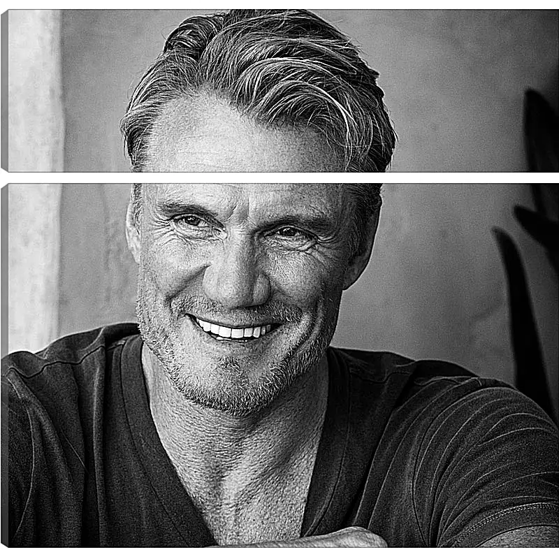 Модульная картина - Дольф Лундгрен. Dolph Lundgren