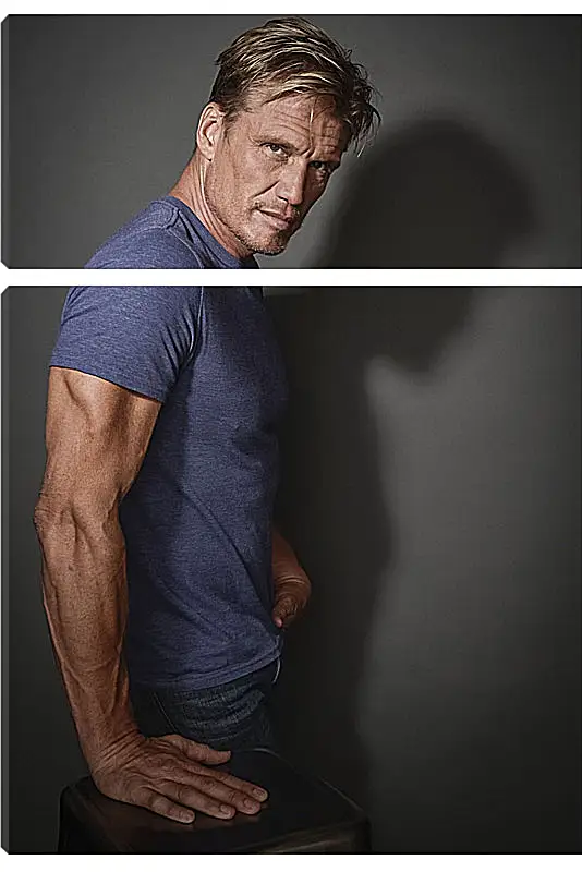 Модульная картина - Дольф Лундгрен. Dolph Lundgren