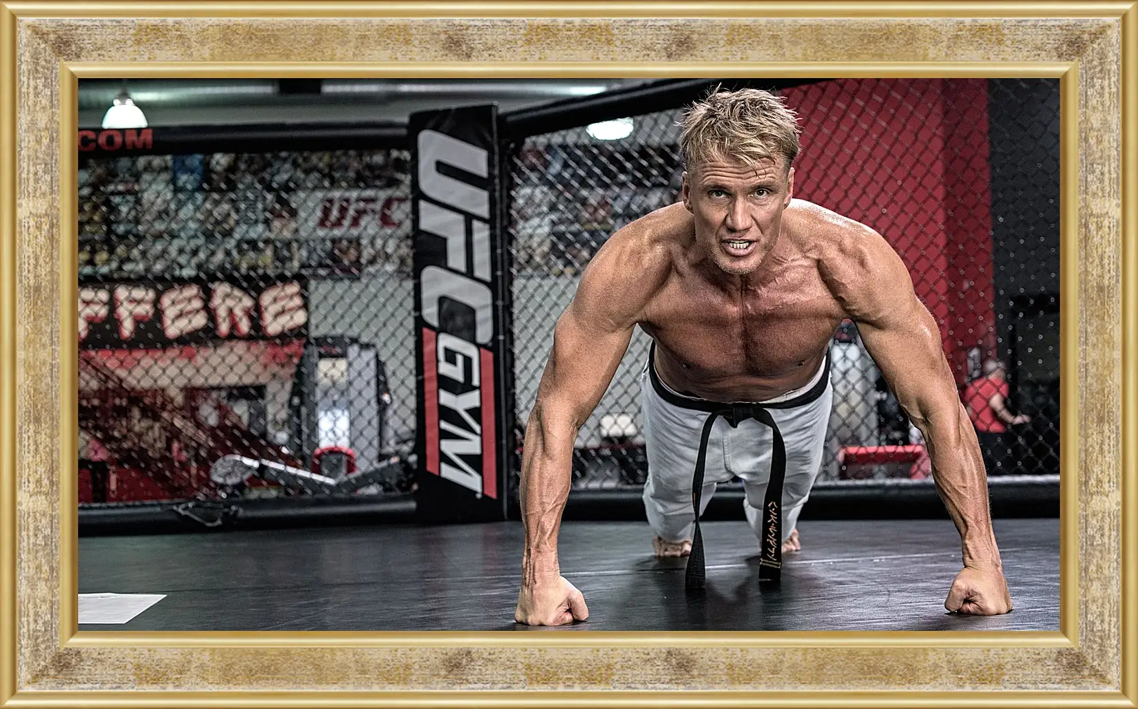 Картина в раме - Дольф Лундгрен. Dolph Lundgren