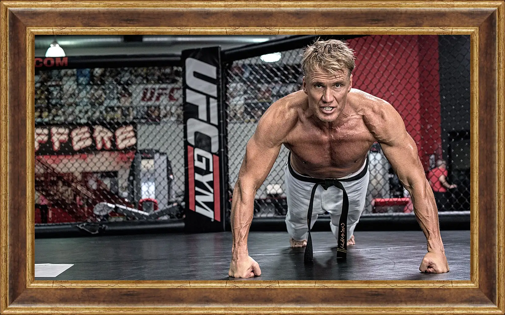 Картина в раме - Дольф Лундгрен. Dolph Lundgren