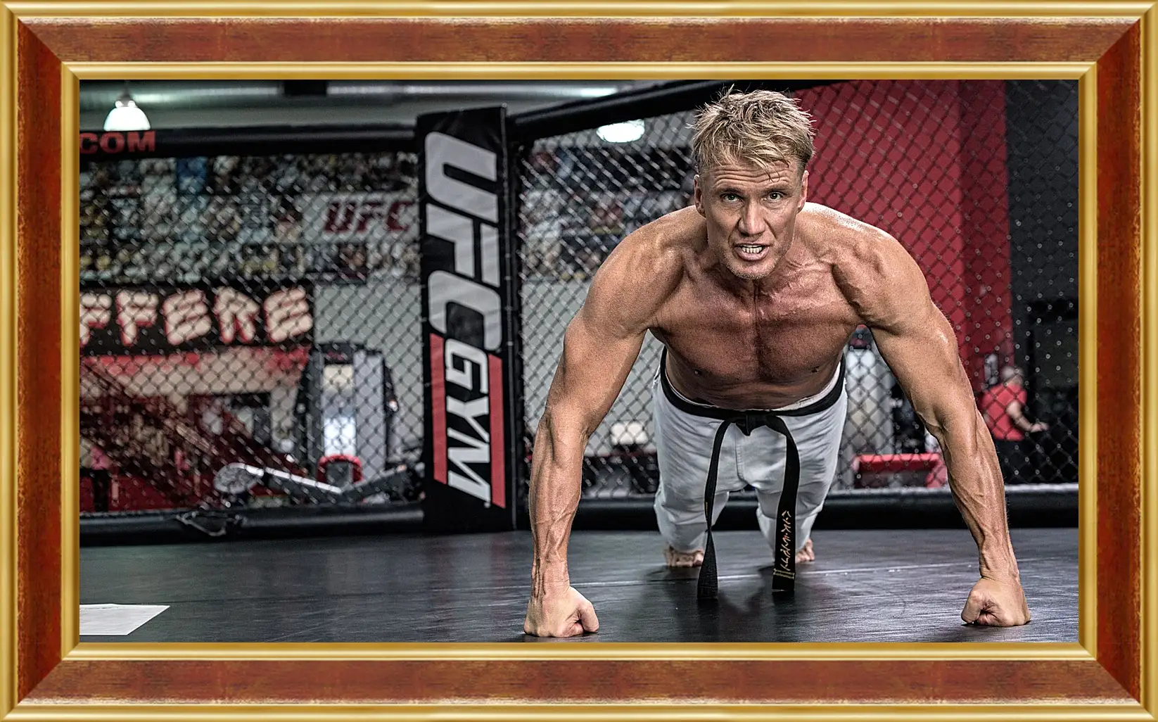 Картина в раме - Дольф Лундгрен. Dolph Lundgren