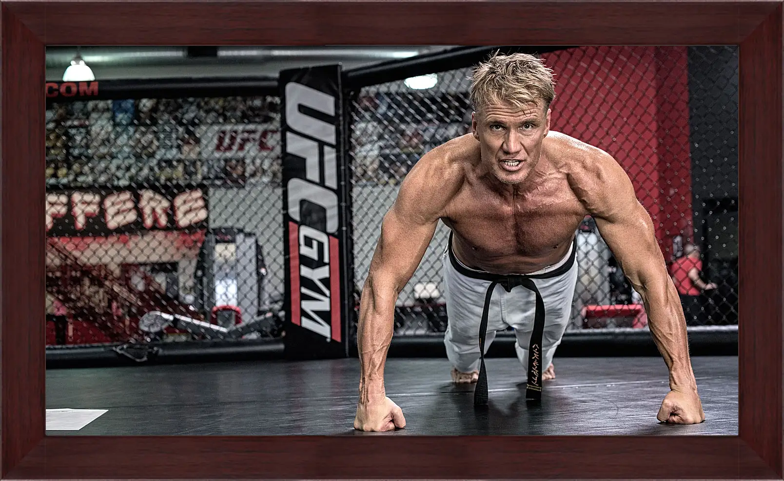 Картина в раме - Дольф Лундгрен. Dolph Lundgren