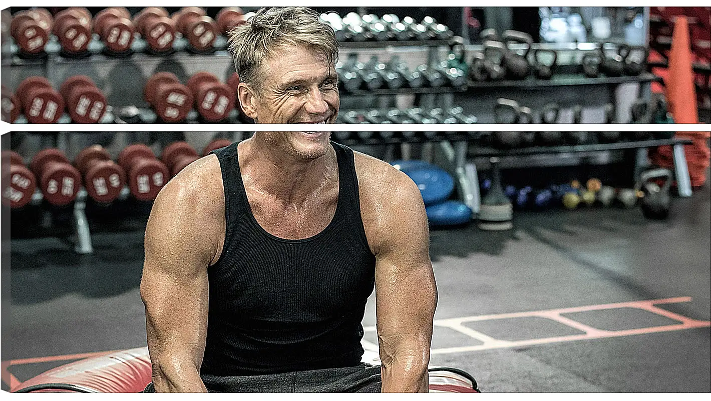 Модульная картина - Дольф Лундгрен. Dolph Lundgren