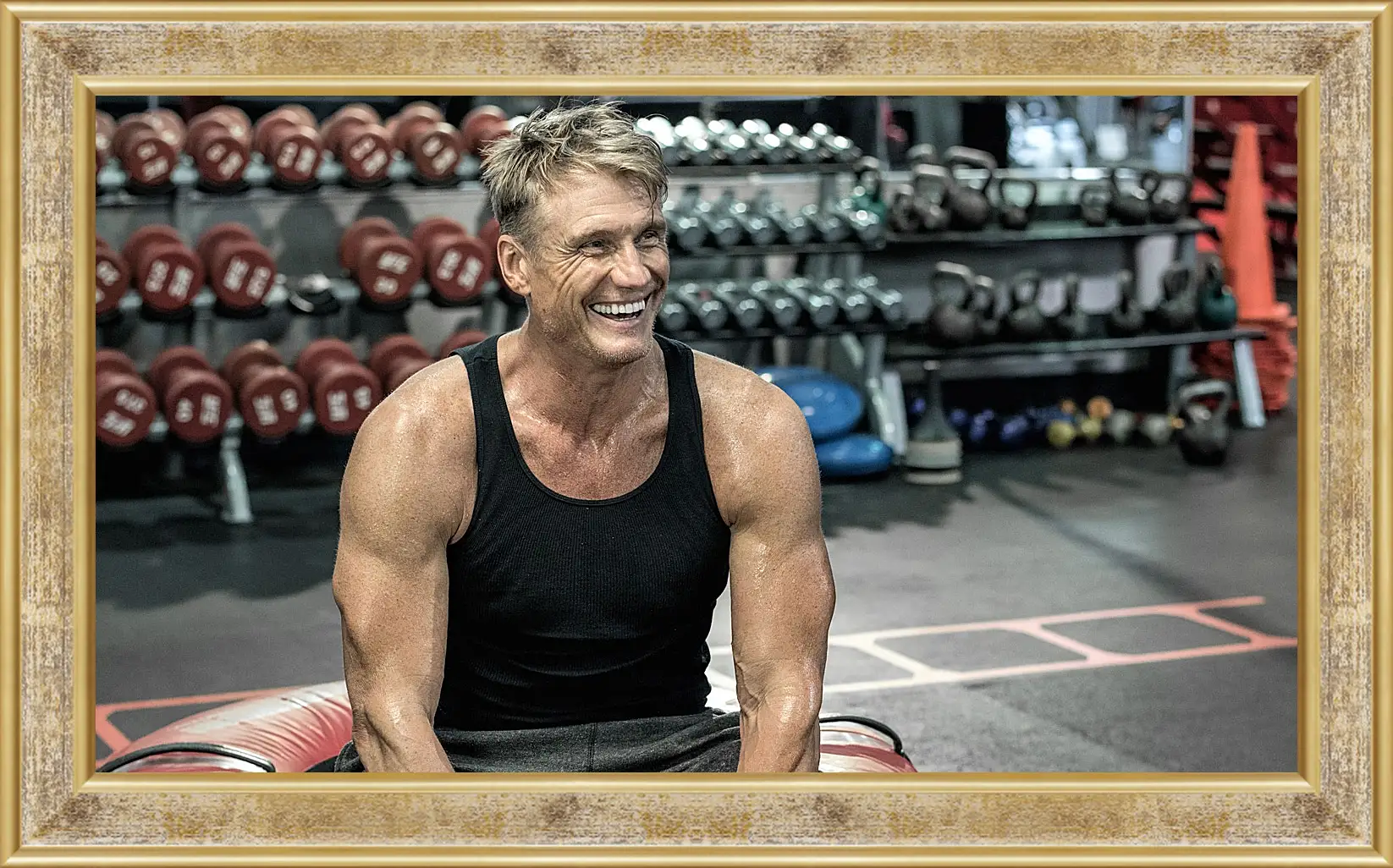 Картина в раме - Дольф Лундгрен. Dolph Lundgren