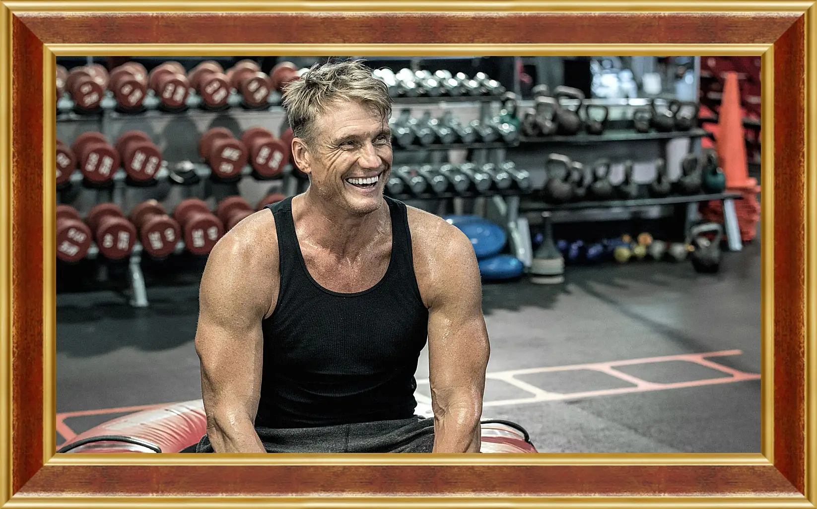 Картина в раме - Дольф Лундгрен. Dolph Lundgren