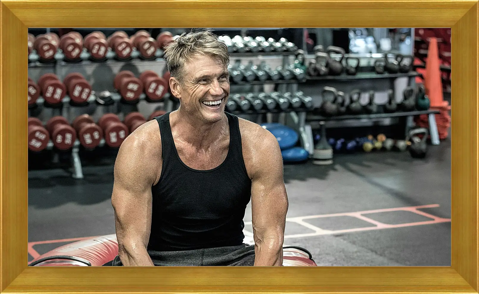 Картина в раме - Дольф Лундгрен. Dolph Lundgren