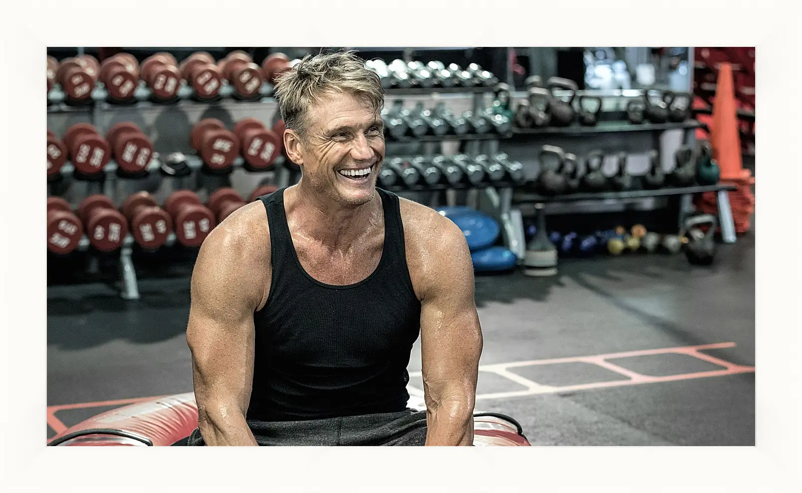 Картина в раме - Дольф Лундгрен. Dolph Lundgren