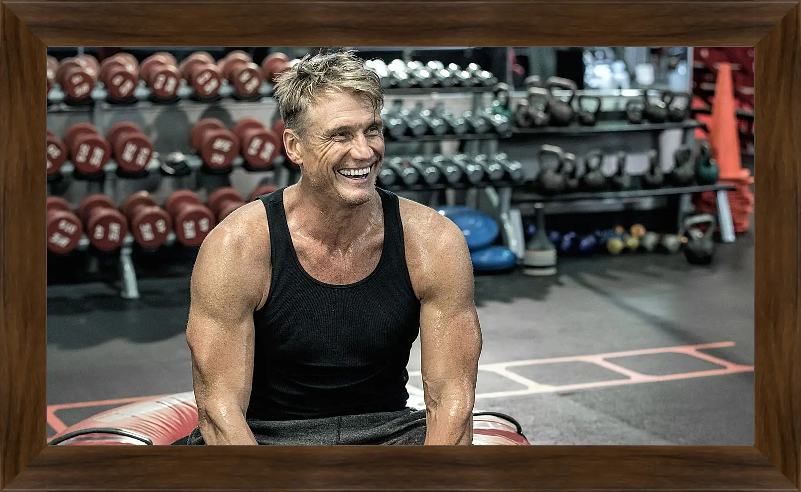 Картина в раме - Дольф Лундгрен. Dolph Lundgren