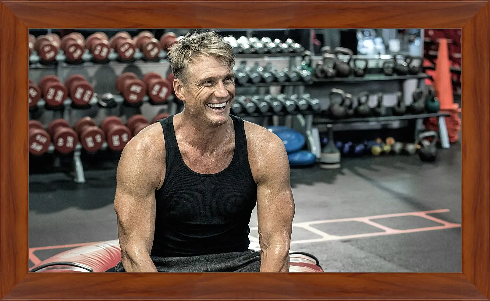 Картина в раме - Дольф Лундгрен. Dolph Lundgren