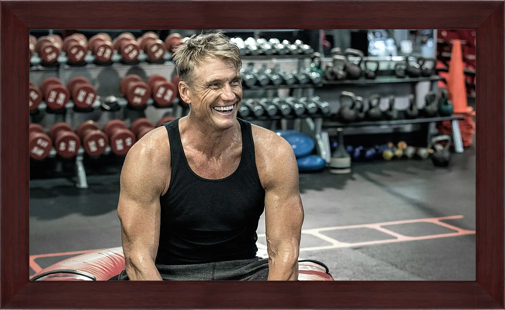 Картина в раме - Дольф Лундгрен. Dolph Lundgren