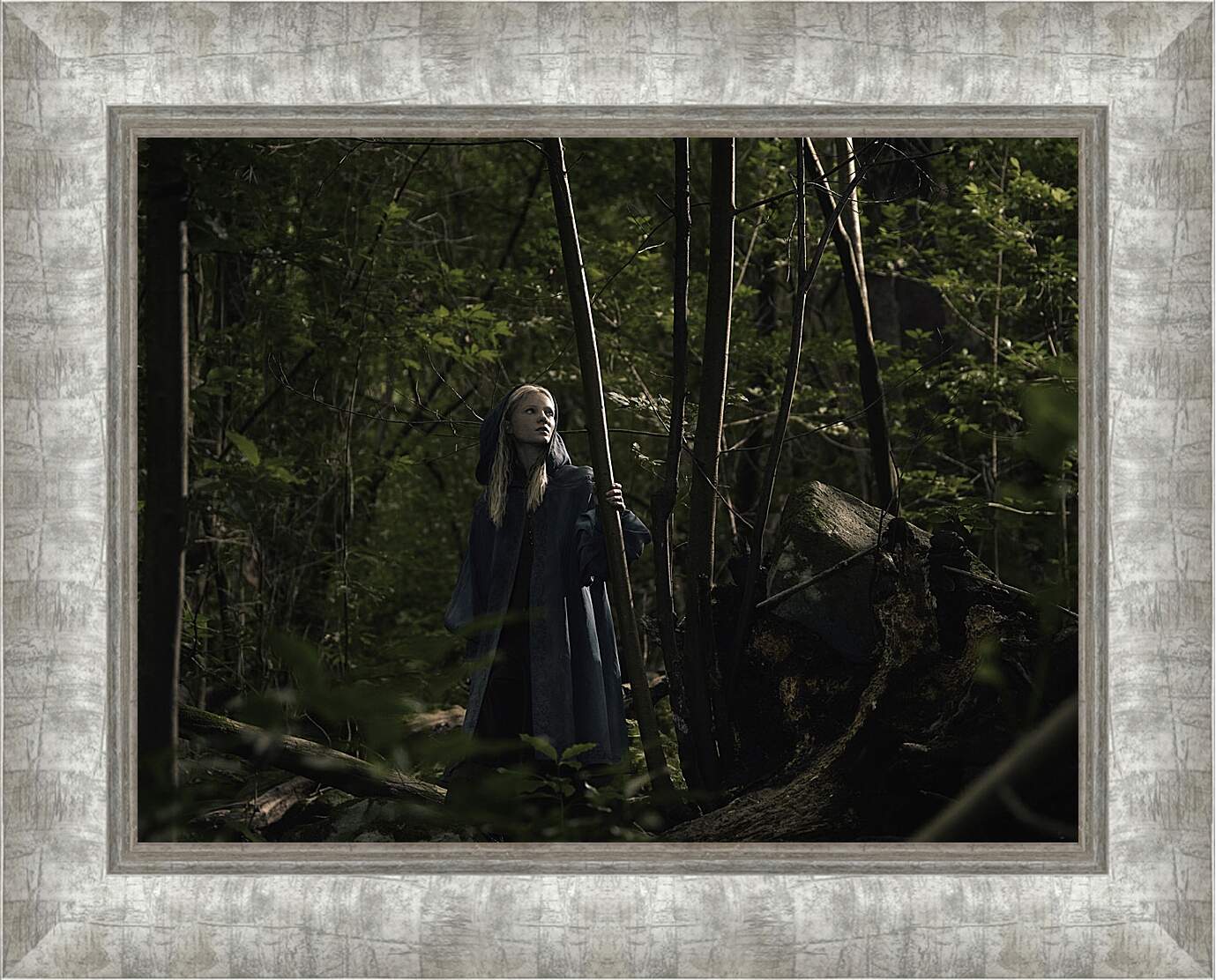 Картина в раме - Ведьмак. The Witcher