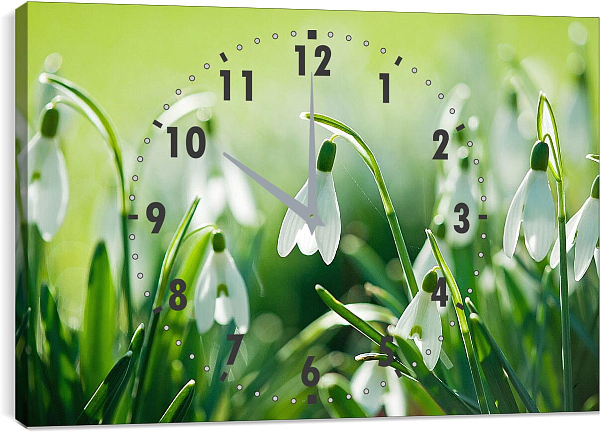 Часы картина - Подснежники в зеленой траве