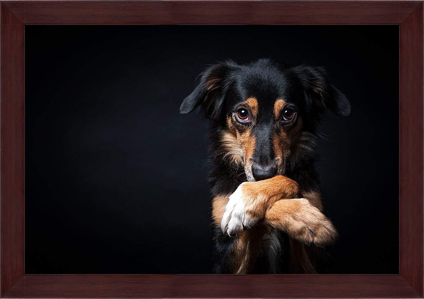 Картина в раме - Собака