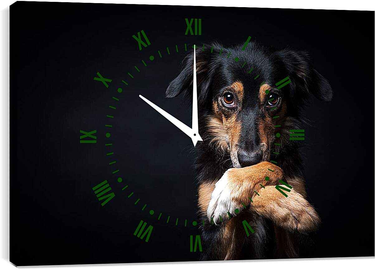 Часы картина - Собака