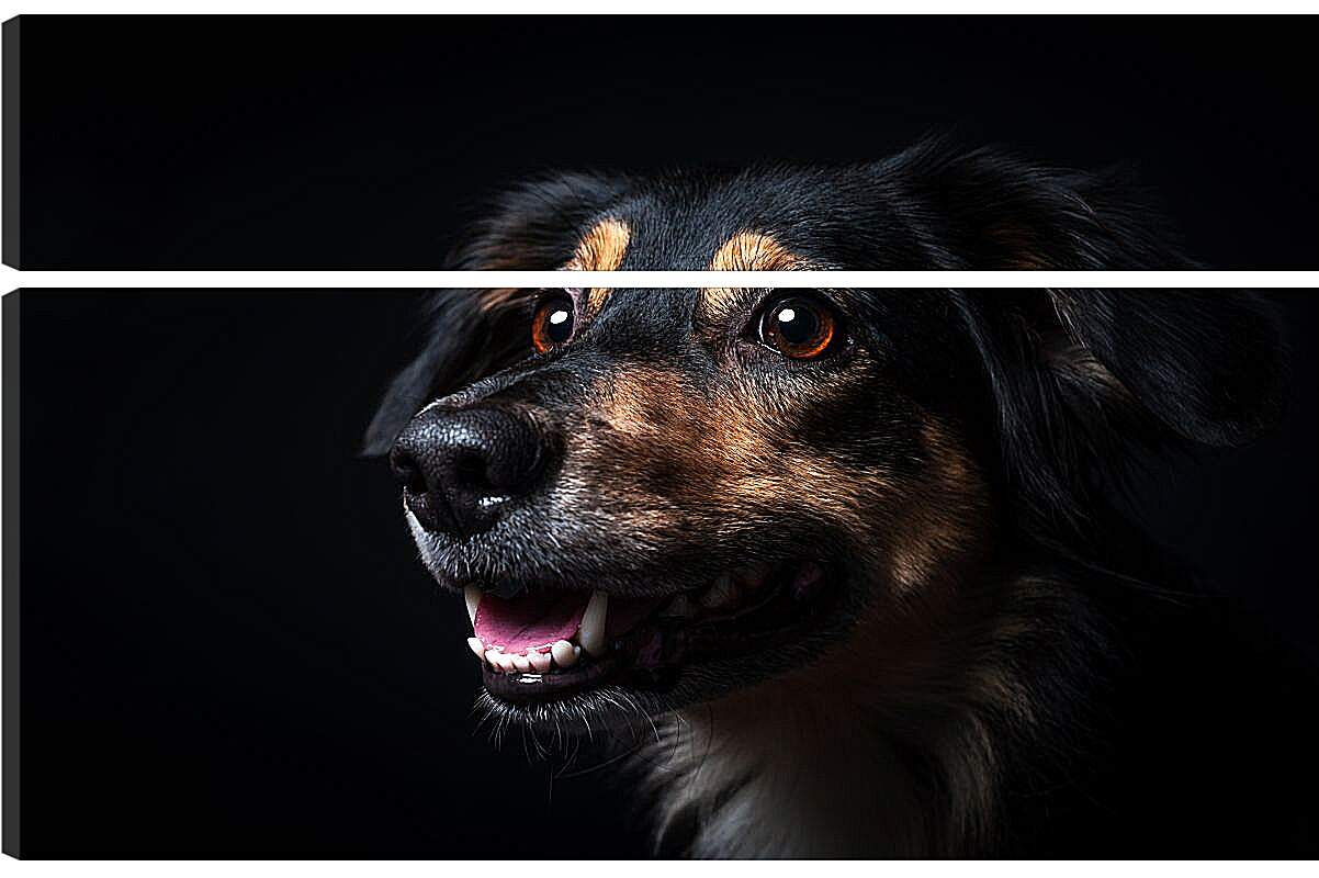 Модульная картина - Собака