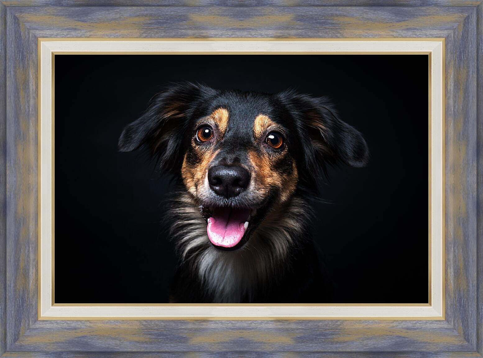 Картина в раме - Собака