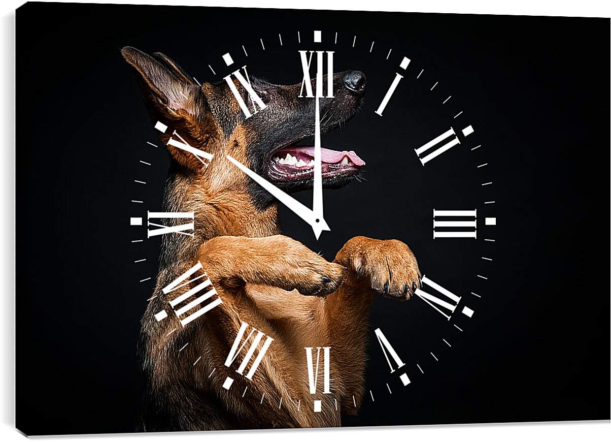 Часы картина - Овчарка