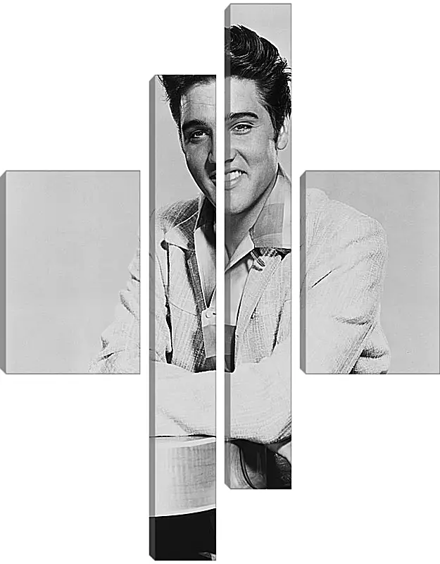 Модульная картина - Элвис Пресли. Elvis Presley