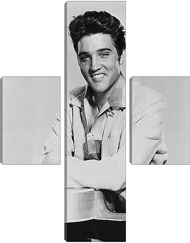 Модульная картина - Элвис Пресли. Elvis Presley