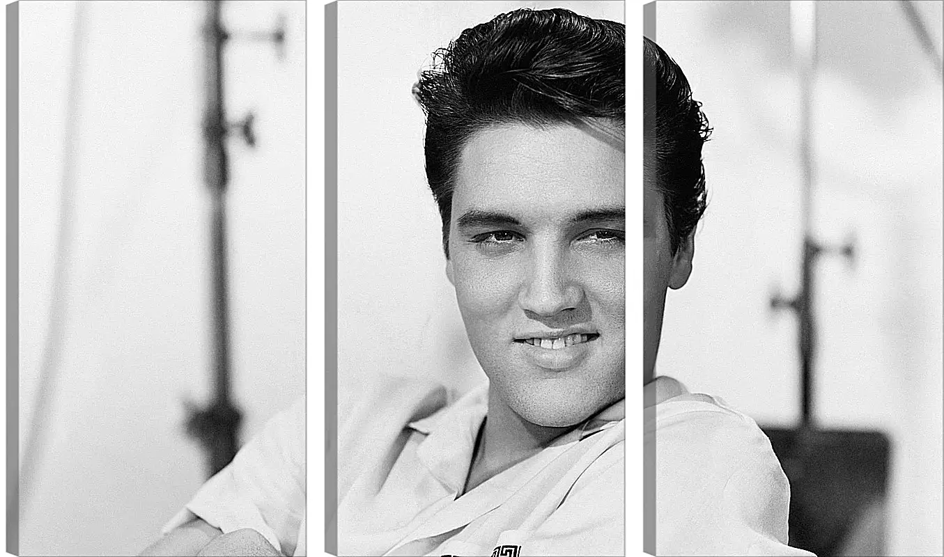 Модульная картина - Элвис Пресли. Elvis Presley