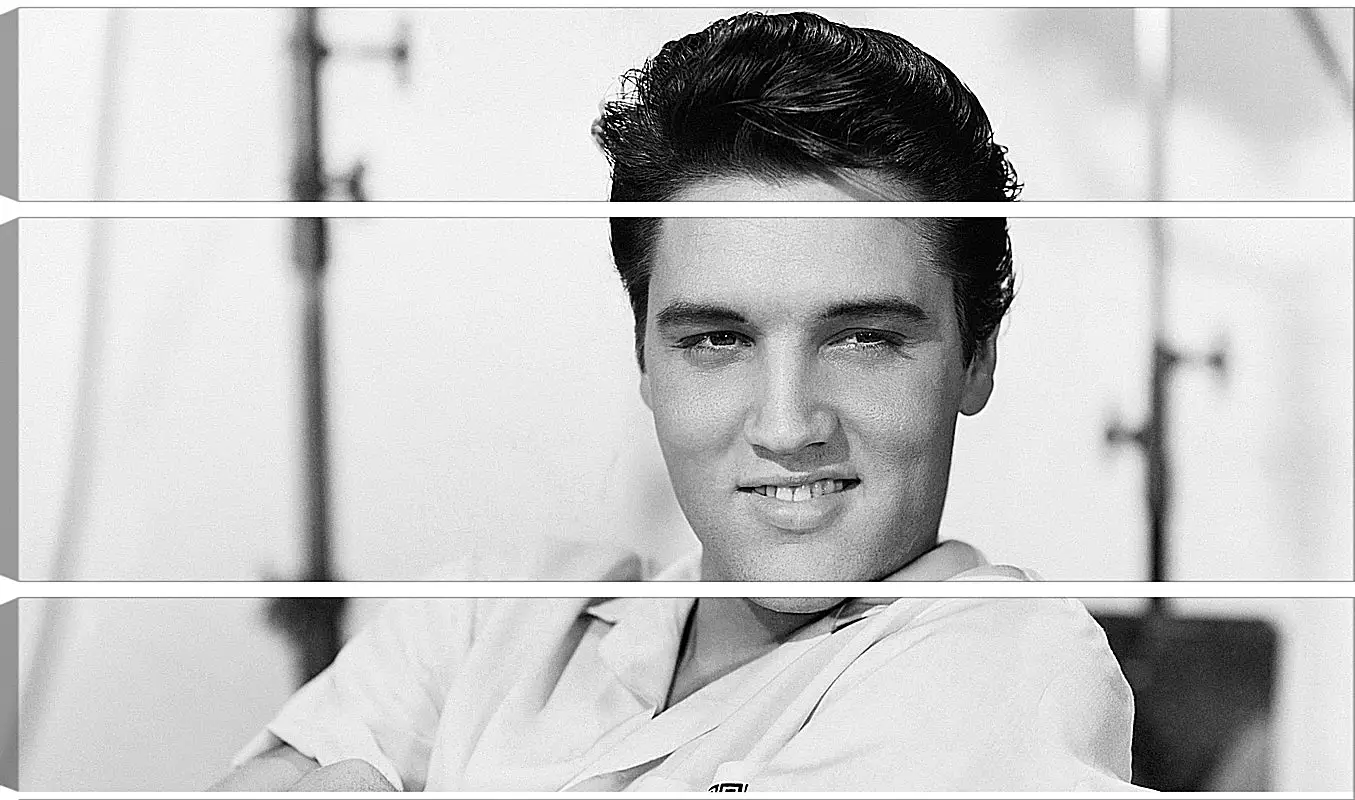 Модульная картина - Элвис Пресли. Elvis Presley