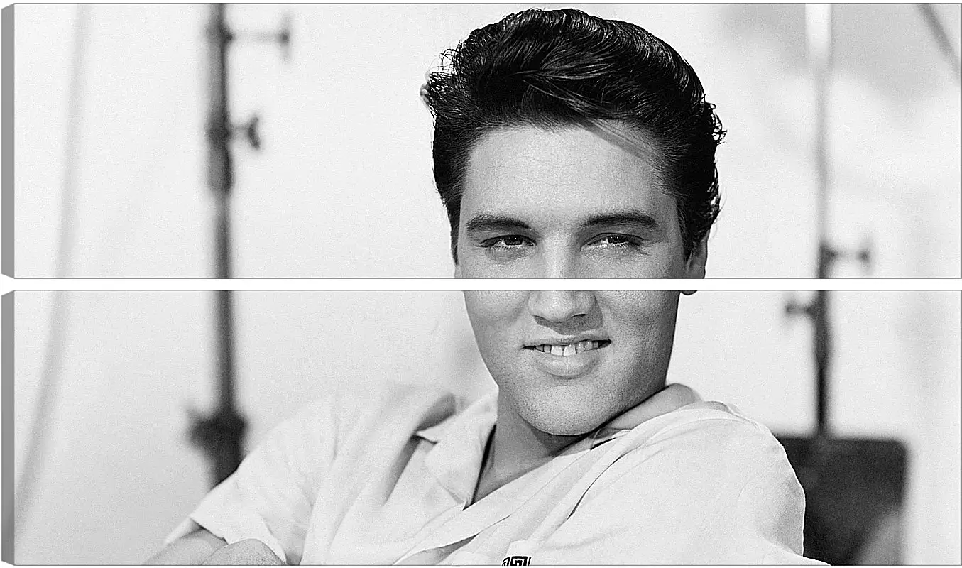 Модульная картина - Элвис Пресли. Elvis Presley