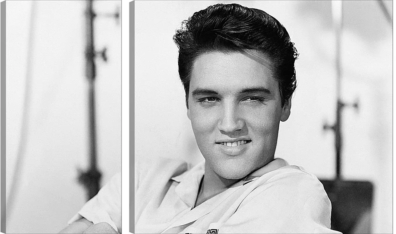 Модульная картина - Элвис Пресли. Elvis Presley