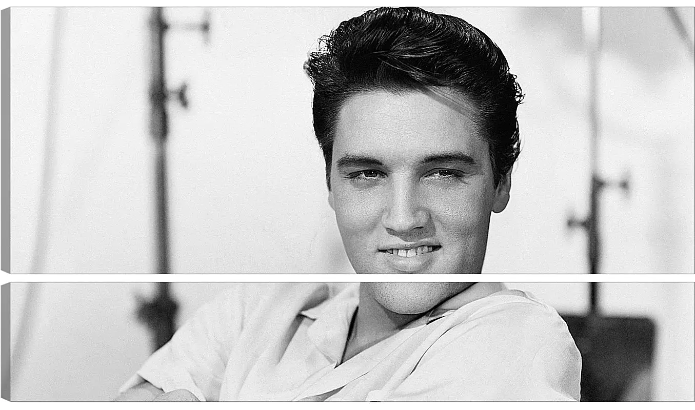 Модульная картина - Элвис Пресли. Elvis Presley