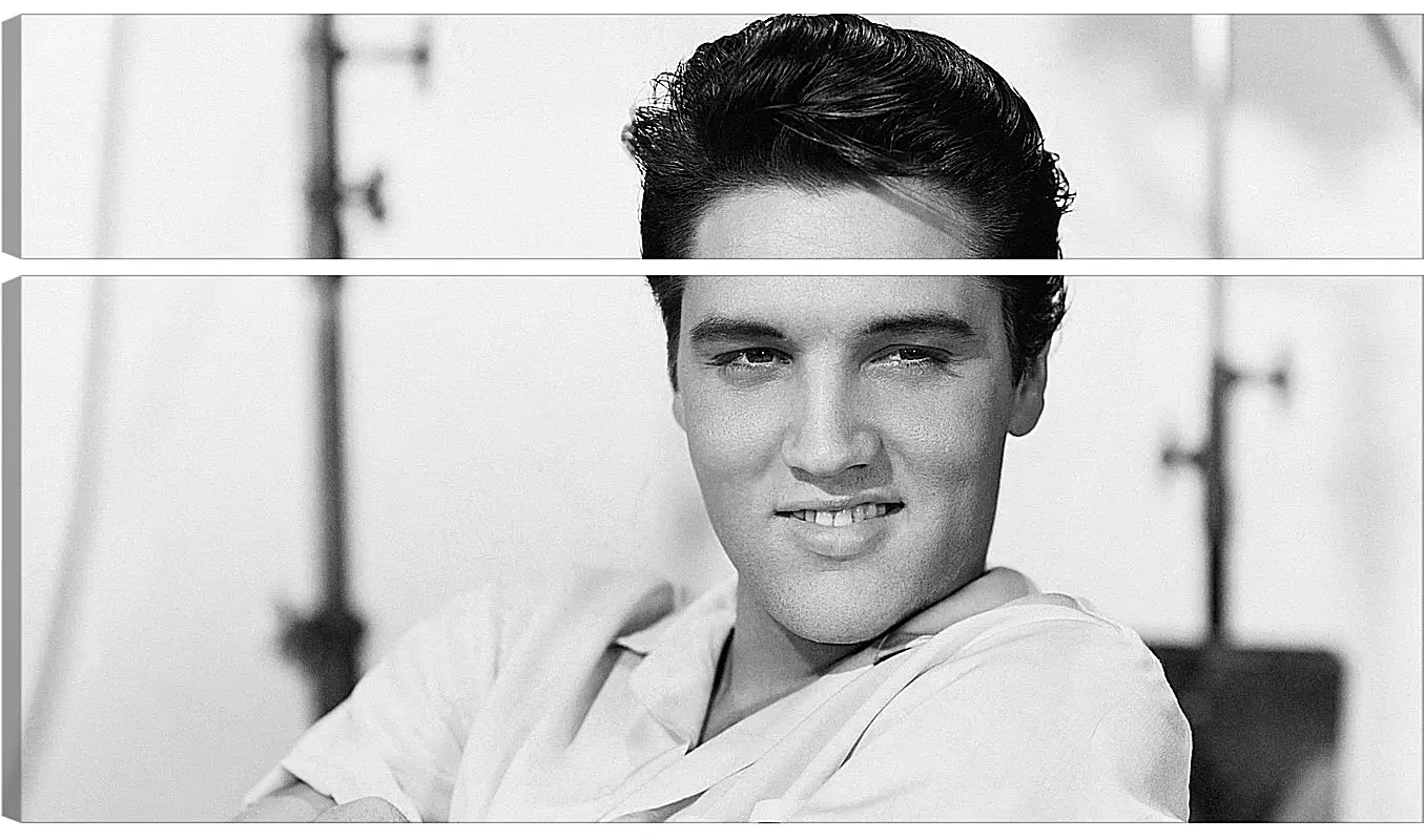 Модульная картина - Элвис Пресли. Elvis Presley