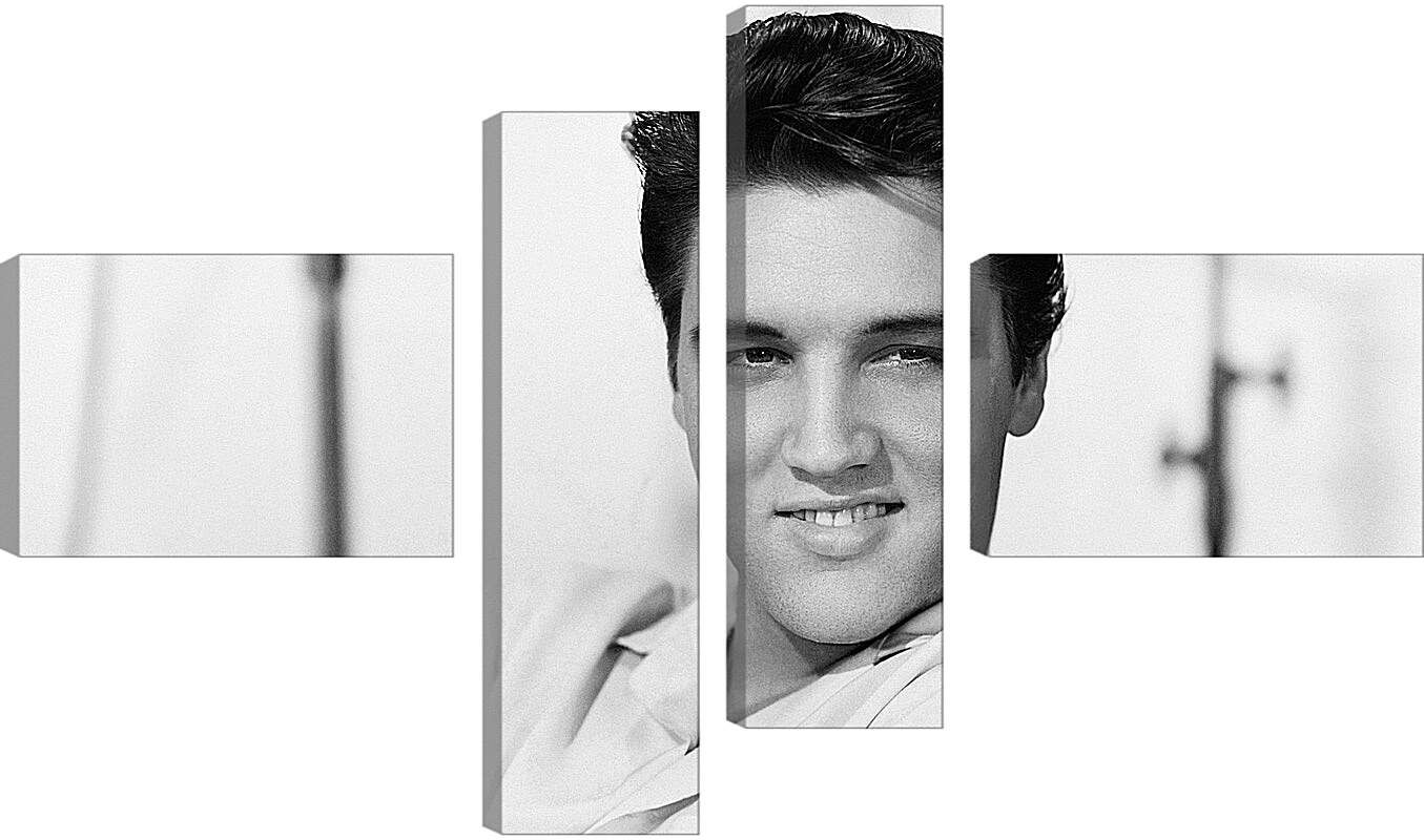 Модульная картина - Элвис Пресли. Elvis Presley